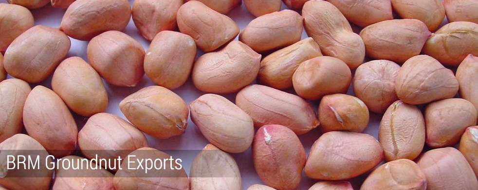 Groundnut Kernels