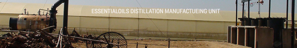 Essentialoils Distillation