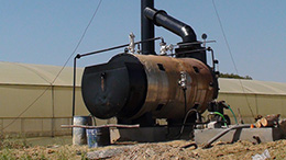 Essential Oils Distillation