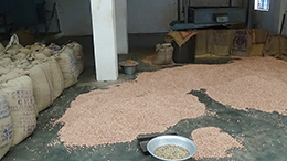 Kernel Mill